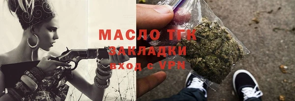 индика Инта