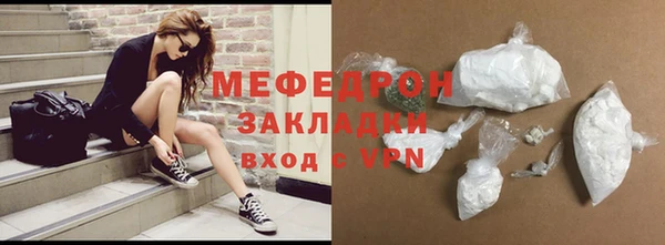 индика Инта