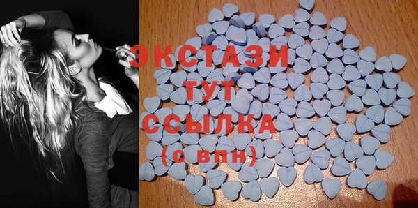 индика Инта