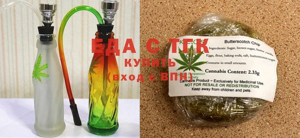 индика Инта