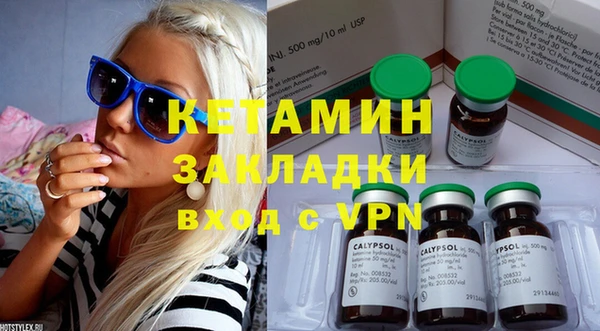 индика Инта