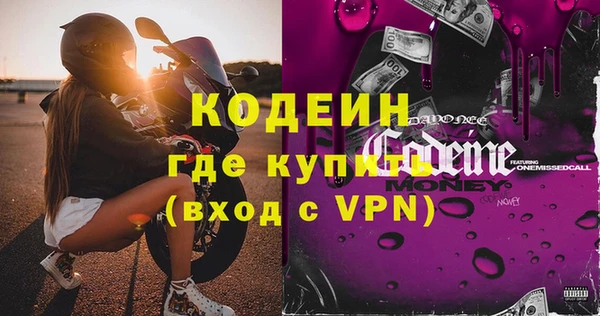 индика Инта