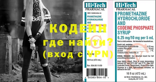 индика Инта