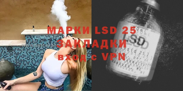 индика Инта