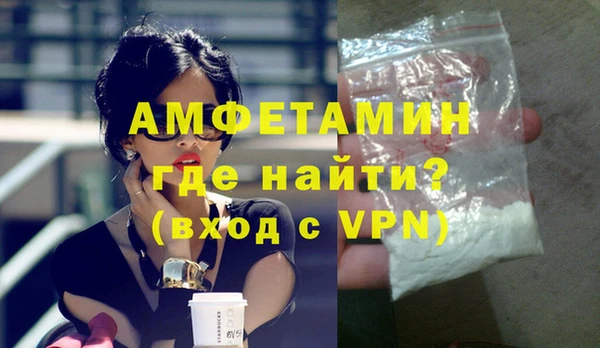 индика Инта