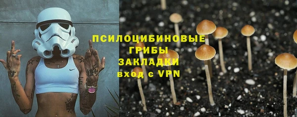 a pvp Инсар